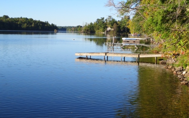 Calm lake with wooden dock and trees.