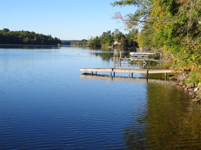 Calm lake with wooden dock and trees.